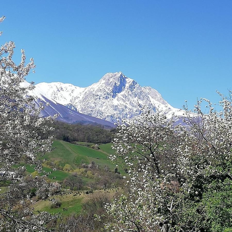 B&B Le Ginestre Castelli Экстерьер фото