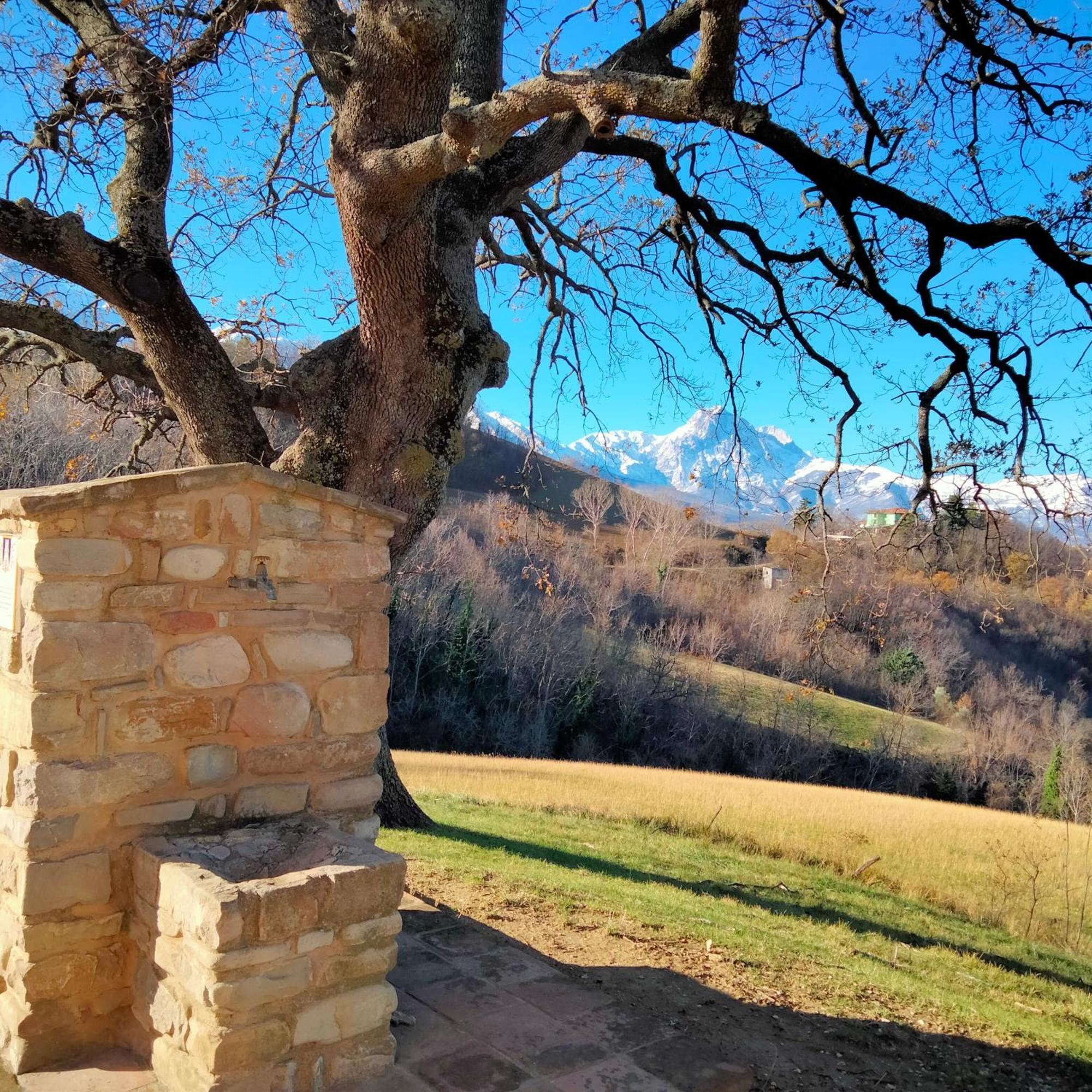 B&B Le Ginestre Castelli Экстерьер фото